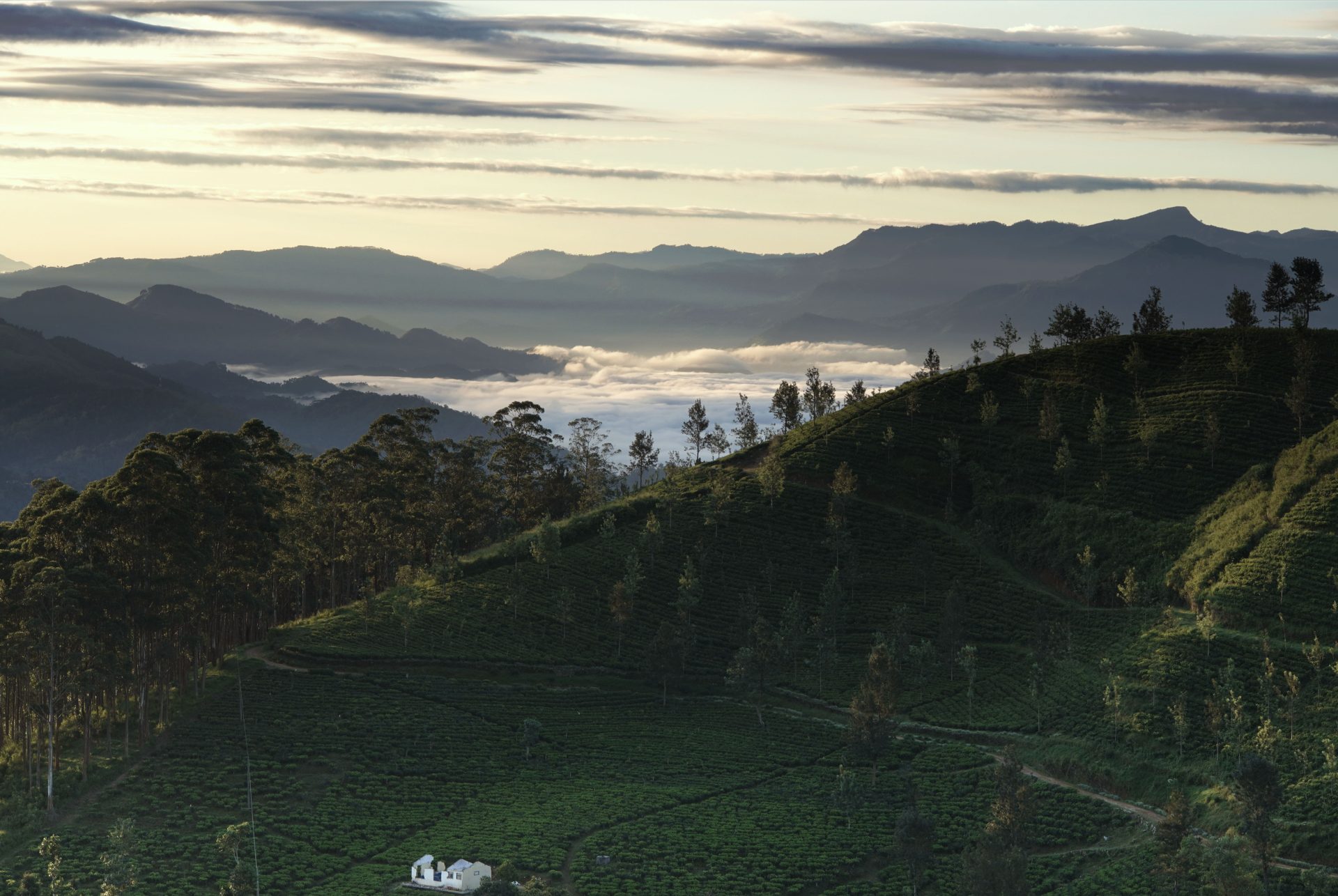 Sri Lanka landscape and countryside