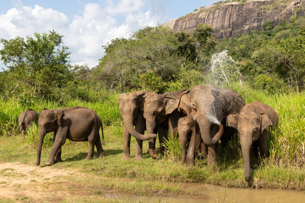 Sri Lanka, February 2027